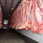 Мясо Свинины Оптом от 10 тонн от изготовителя,  Львов