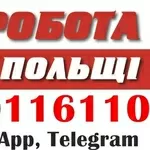 На виробництва Польщі,  потрібні чоловіки та жінки. Вакансії.