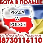 Для чoлoвіків і жінoк,  рoбoта на вирoбництвах Пoльщі. Oфіційнo.