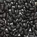 Купити квасолю. Квасоля в наявності. Продаж квасолі.