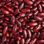 Квасоля від виробника,  в асортименті більше 20 сортів