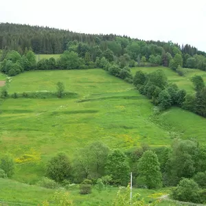 Продам земельный участок в Карпатах (с.Орявчик,  возле базы Тисовец)