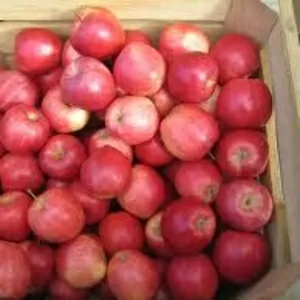 яблоки из Польши