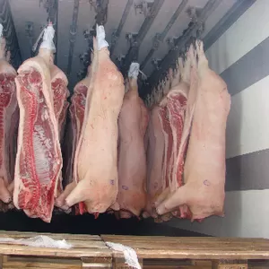 Мясо Свинины Оптом от 10 тонн от изготовителя.