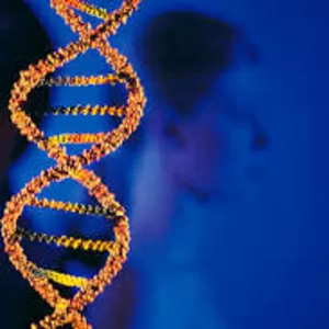 Тест ДНК на отцовство во Львове