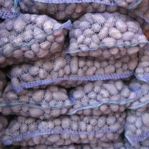 Продам насіння картоплі високоврожайні сорти