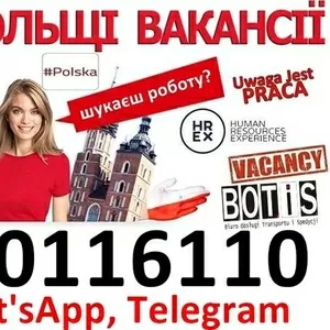  Для чоловіків та жінок. Нові вакансії на виробництвах в Польщі. Офіці