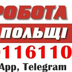 На виробництва Польщі,  потрібні чоловіки та жінки. Вакансії.