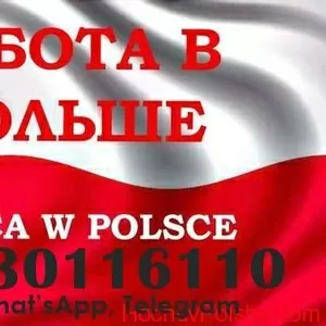 Перевірені вакансії в Польщі,  для чоловіків та жінок.