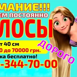 Скупка волосся Львів дорого