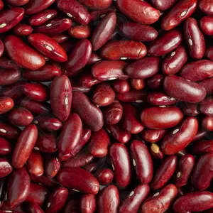  Сортова квасоля: Ліма,  Мавка,  Рубін,  Бандоля,  Неві,  Пінто та ін