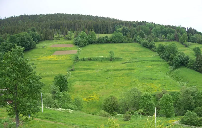 Продам земельный участок в Карпатах (с.Орявчик,  возле базы Тисовец)