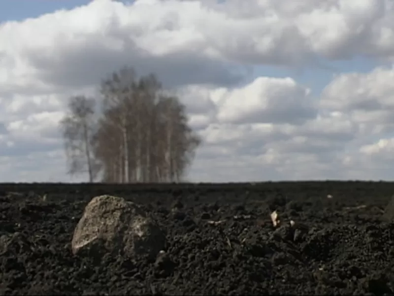 Чорнозем. Верхній родючий шар грунту.