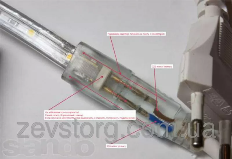 Светодиодный дюралайт  SMD3528 квадратный синий 2