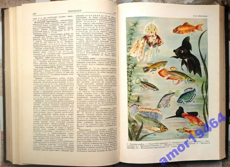 Товарный словарь в 9-ти томах. Комплект 1956 г 5