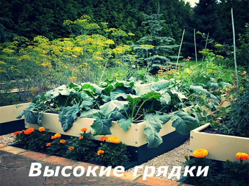 Высокие грядки,  грядки металлические 2