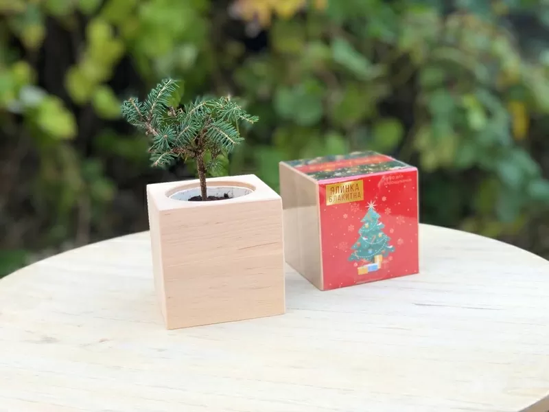 Подарунки на Миколая. Новорічні набори. DIY набори 5