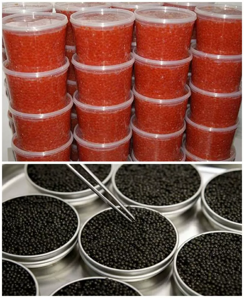 Ікра імітована найвищої якості!