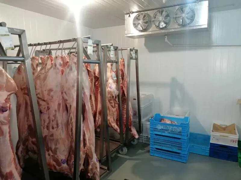 Морозильна камера - Шокова заморозка ковбас,  м'яса,  сирів ( Під ключ) 2
