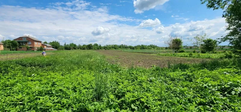Продаж будинку з земельною ділянкою у Стрийському ра-ні с.Станківці 10